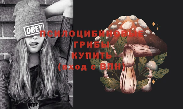 кокаин Алексеевка