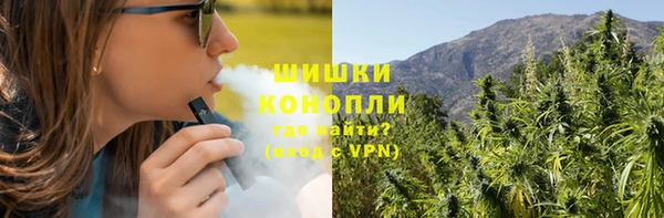 ПСИЛОЦИБИНОВЫЕ ГРИБЫ Алексин