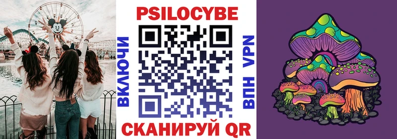 Псилоцибиновые грибы Psilocybine cubensis  закладки  Козловка 